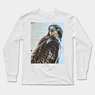 Red Tailed Hawk Long Sleeve T-Shirt